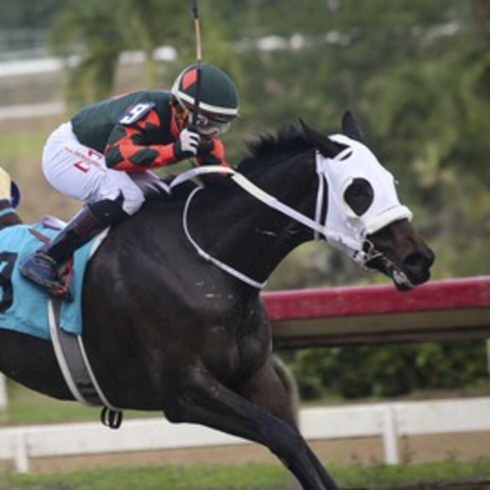 Carol Cedeño arribó cuarta con el ejemplar Tsunami P.