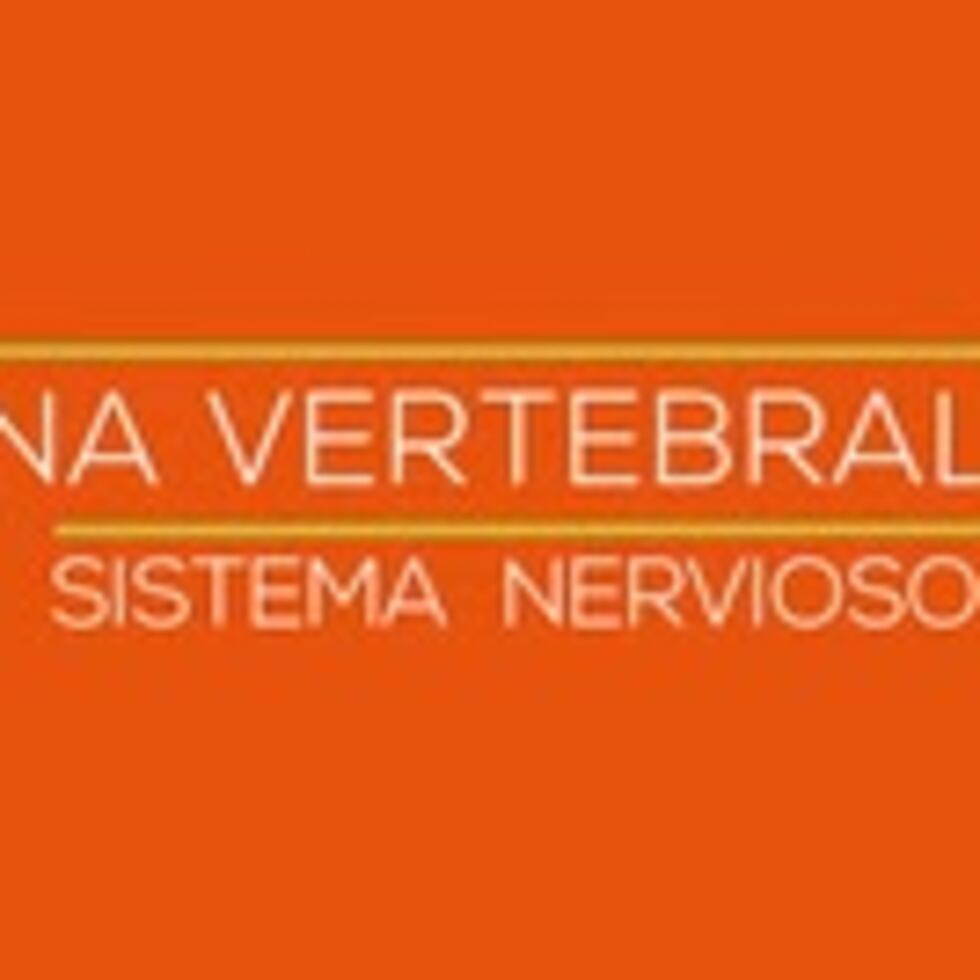 Por lo regular los niños presentan muchos síntomas físicos desde temprana edad como dolor de cuello, de piernas o en la espalda baja. (Shutterstock)