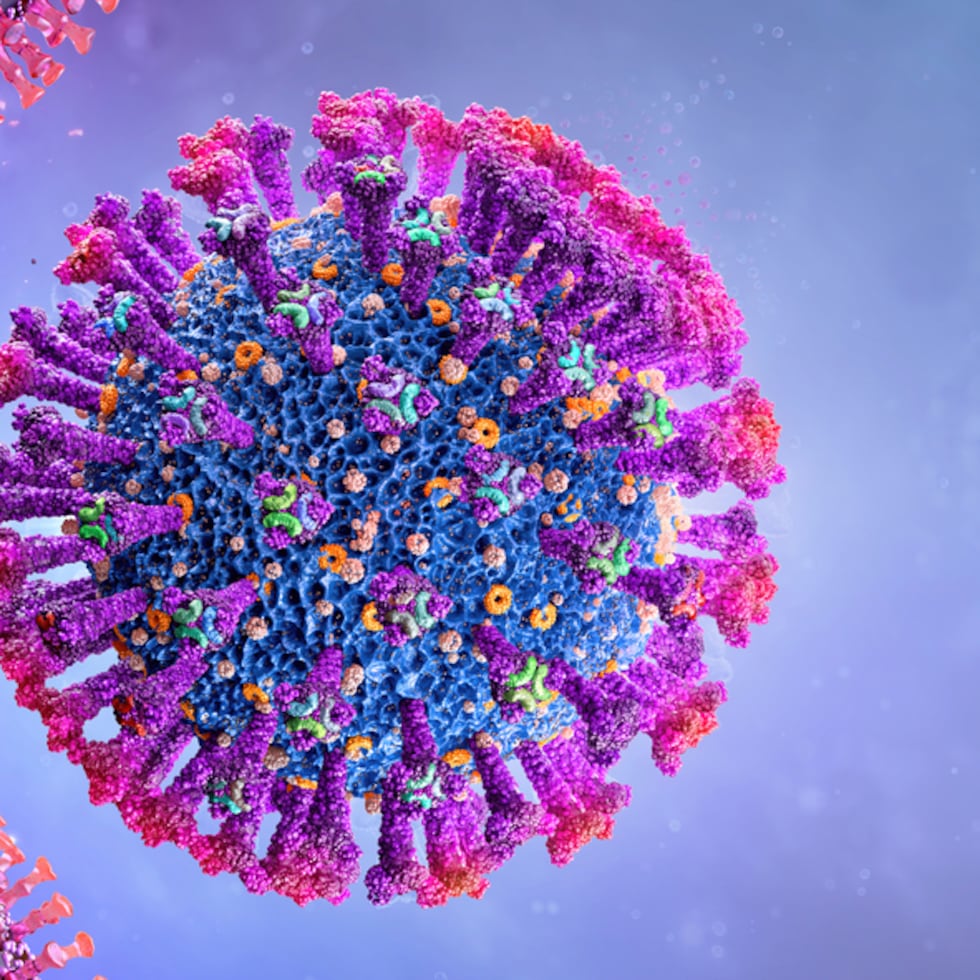 Los decesos por coronavirus se encuentran debajo de los causados por enfermedades cardíacas, cáncer y lesiones como sobredosis de drogas, por vehículos motorizados y actos violentos