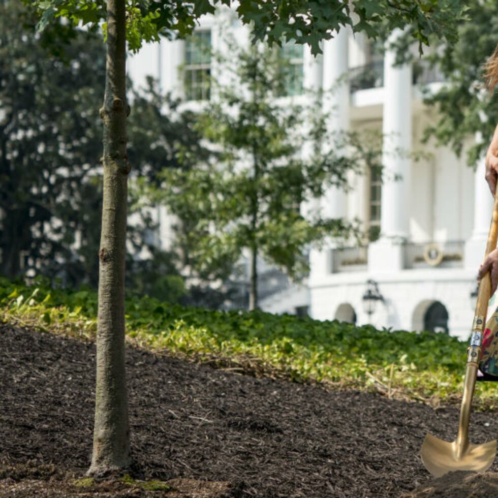 Melania Trump sembró un árbol junto a Richard Emory Gatchell Jr. y Marie Jean Eisenhower (nieta del expresidente Dwight Eisenhower)- (Foto: AP)