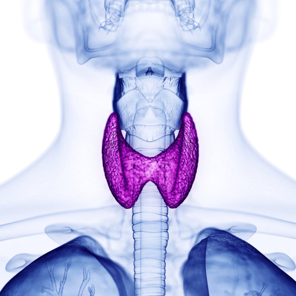 No existe suficiente evidencia como para probar que existe una relación entre algunos agentes ambientales y problemas que afecten el sistema endocrino.