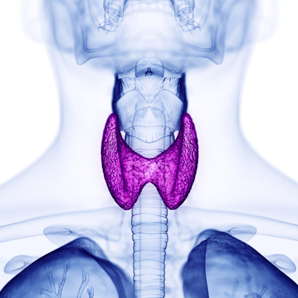 No existe suficiente evidencia como para probar que existe una relación entre algunos agentes ambientales y problemas que afecten el sistema endocrino.