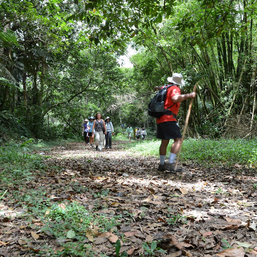 Entrevistados por El Nuevo Día entienden que la isla cuenta con los recursos naturales para seguir desarrollando veredas y rutas en distintos puntos de la isla.