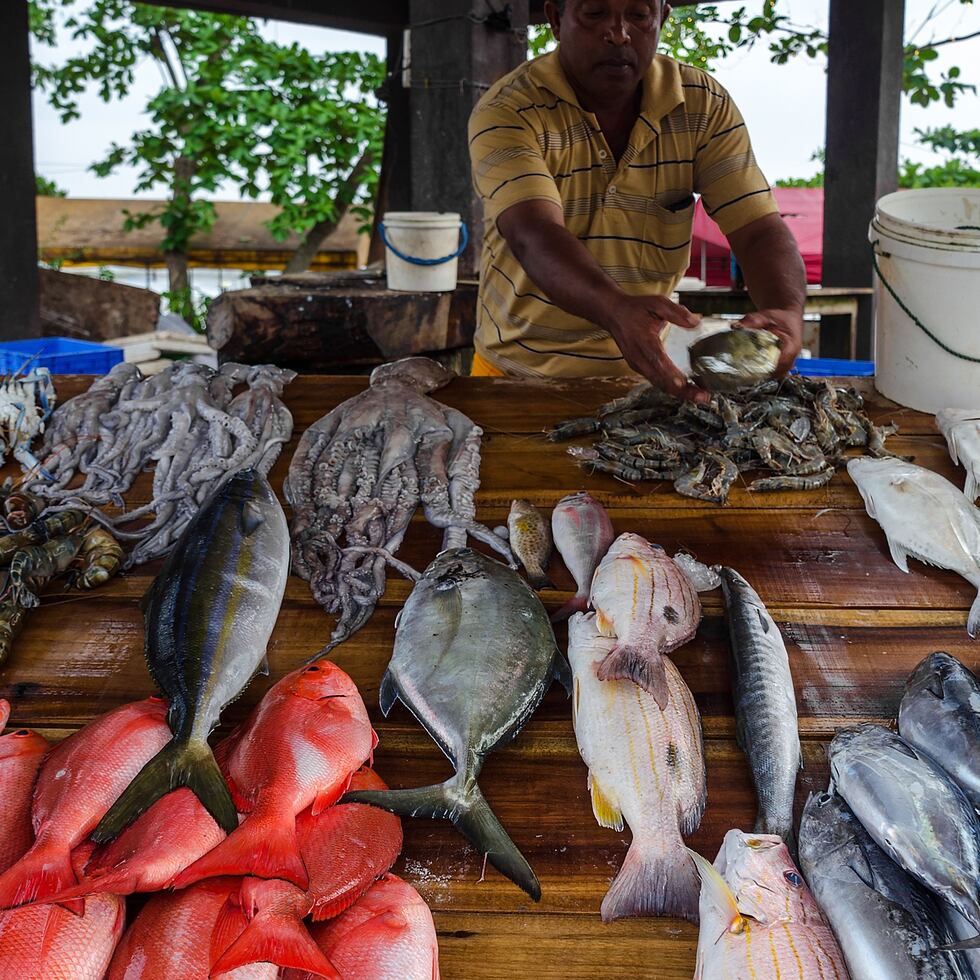 Bluetide recibió $9 millones de la U.S Economic Development Administration (EDA, por sus siglas en inglés) del Departamento de Comercio de los Estados Unidos para ayudar en el desarrollo de la Economía Azul en Puerto Rico y el Caribe.