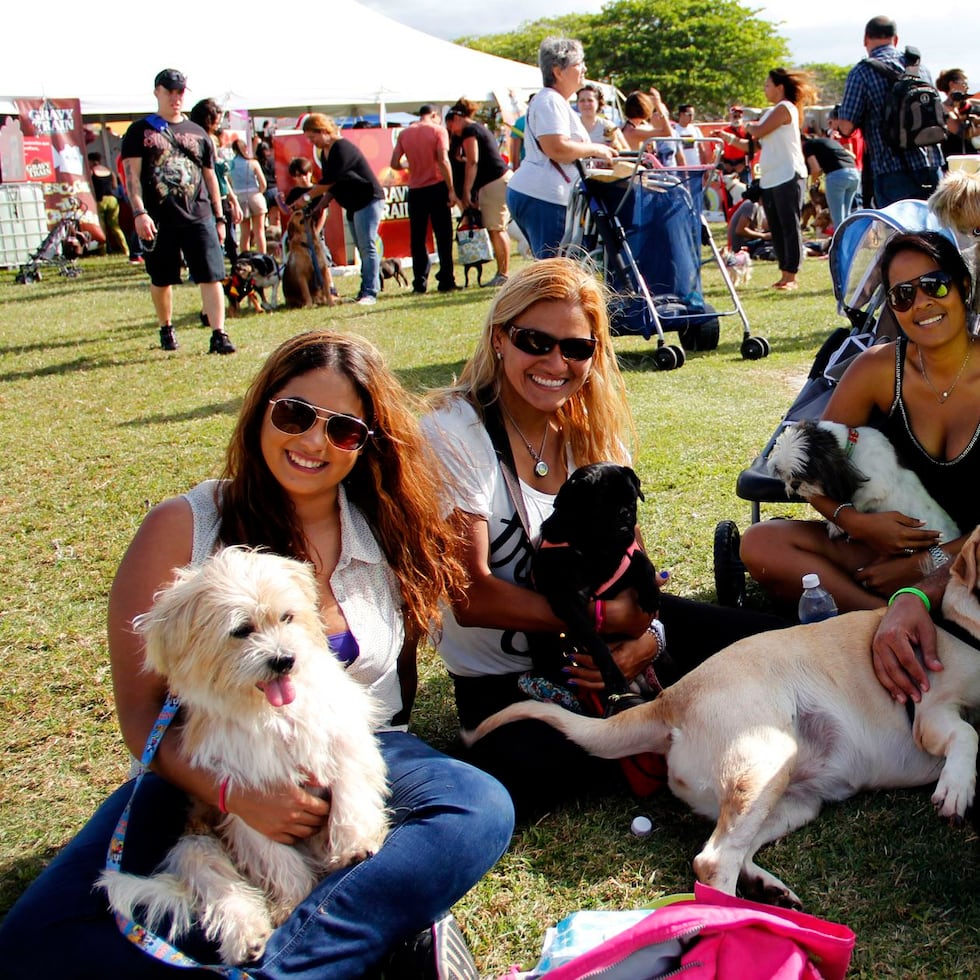 Cientos de personas acudieron con sus mascotas al Morro Pet Fest.