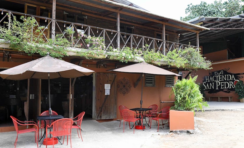El café Hacienda San Pedro es dulce, suave, achocolatado, poco cítrico y con notas de especias, según lo describe su propietario.