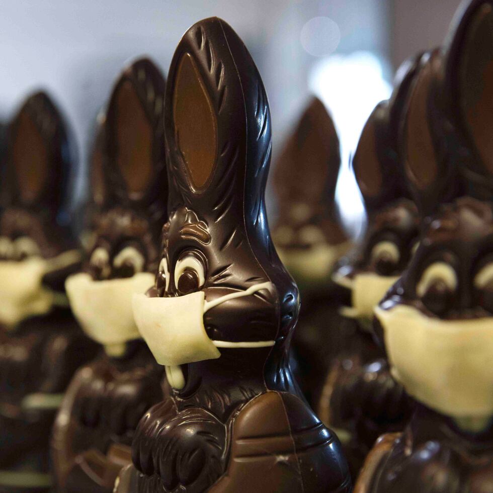 Línea de conejos de chocolate con mascarillas hechas con chocolate blanco.