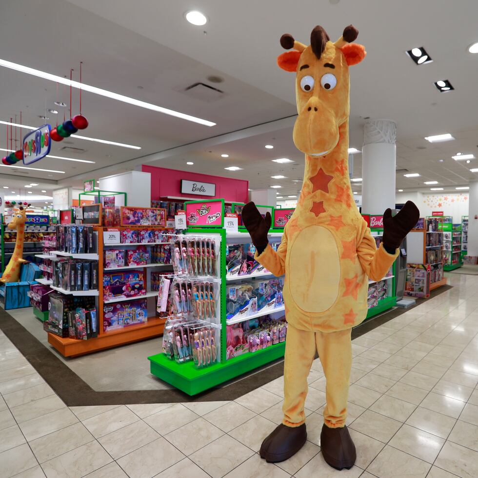 Desde el lunes, 17 las dos Macy's en Puerto Rico tendrán eventos y sorpresas para los niños que visiten la juguetería Toys"R"Us, con motivo del cumpleaños de la jirafa Geoffrey.