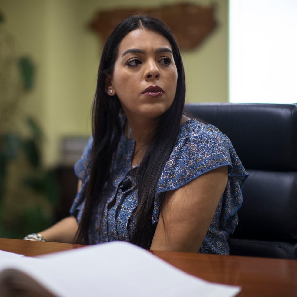 Anaís Rodríguez Vega, secretaria del Departamento de Recursos Naturales y Ambientales.