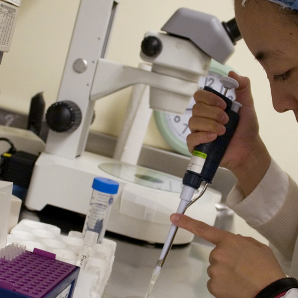 La estudiante graduada Akiko Yabuuchi realiza investigaciones de células madre en el laboratorio del profesor e investigador George Daley, en el Hospital de Niños de Boston. (Justin Ide / Harvard University)