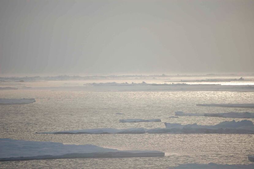 Los demandantes argumentaron que el gobierno federal ha sabido por décadas que la contaminación por carbono ocasiona cambio climático pero no ha actuado para disminuir las emisiones de gases de efecto invernadero. (Dirk Notz via AP)