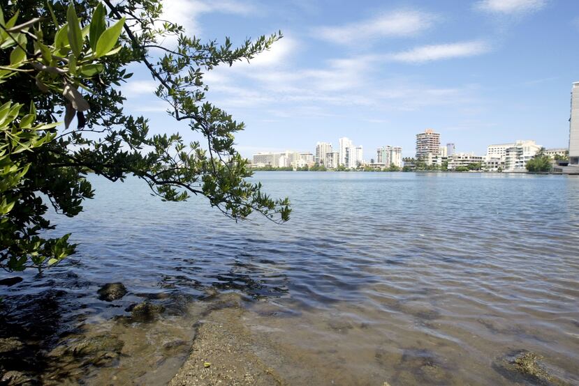 El estuario de la bahía de San Juan es un ecosistema en el que se mezclan las aguas dulces con el mar.