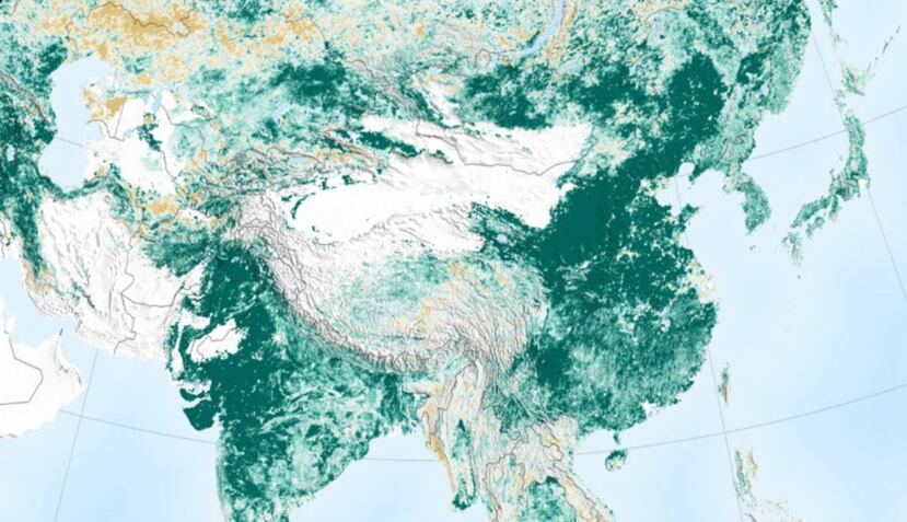 De acuerdo con la NASA, existen más de dos millones de millas cuadradas de área de hoja verde adicional por año. (NASA)