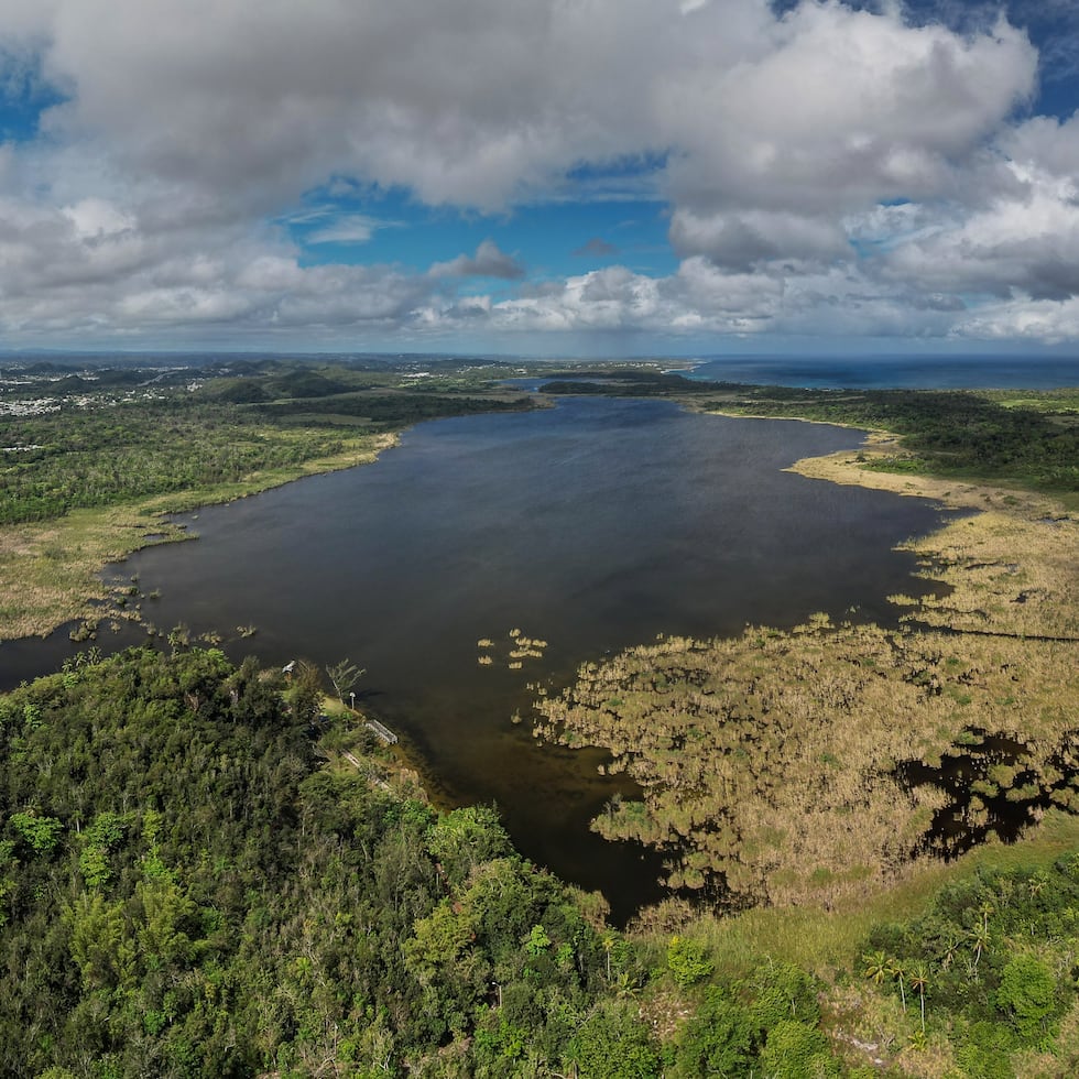 La Laguna Tortuguero, en Vega Baja, fue uno de los humedales visitados como parte de las expediciones de campo para identificar plantas, organizadas la semana pasada por la EPA, el USFWS y el DRNA.