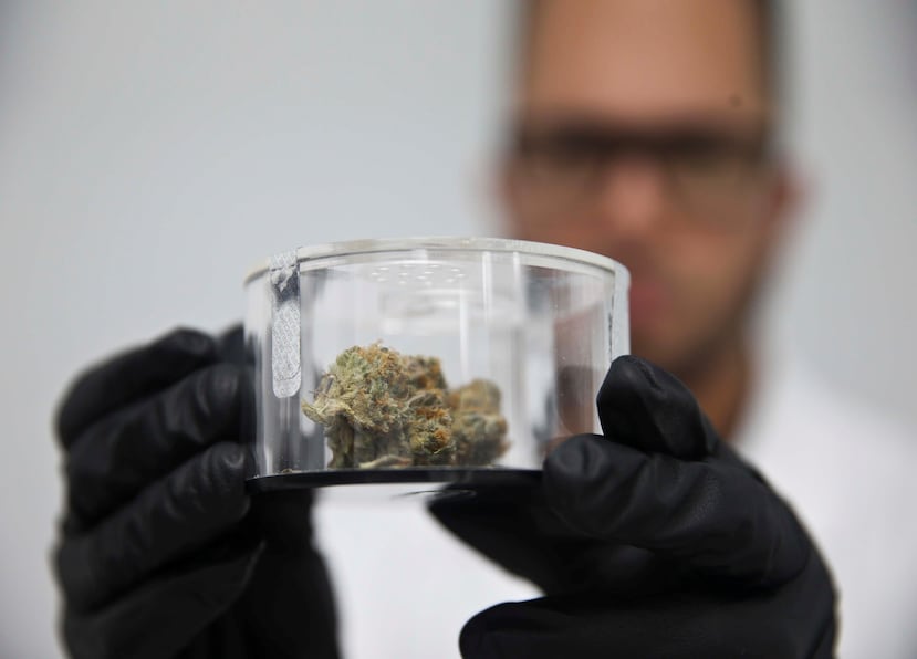 Al concluir el 2018, el número de médicos certificados para recetar el uso de cannabis medicinal alcanzó los 360, mientras existen en la isla más de  60 dispensarios y 18 manufactureras. (GFR Media)