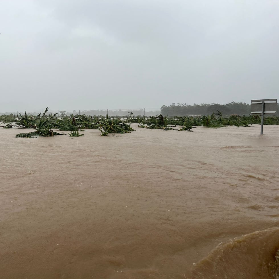 Las inundaciones afectaron fincas agrícolas en Yabucoa. (Archivo)