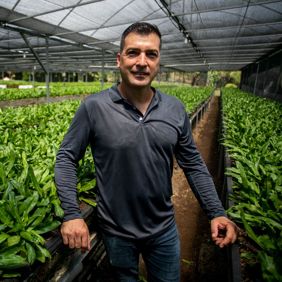 César “Papolín” Morales Vázquez, de 42 años, aún se emociona cuando piensa en el esfuerzo que le tomó levantar su finca, y asegura que es todo lo que soñó cuando tenía 20 años.
(Especial para El Nuevo Día: Xavier García)