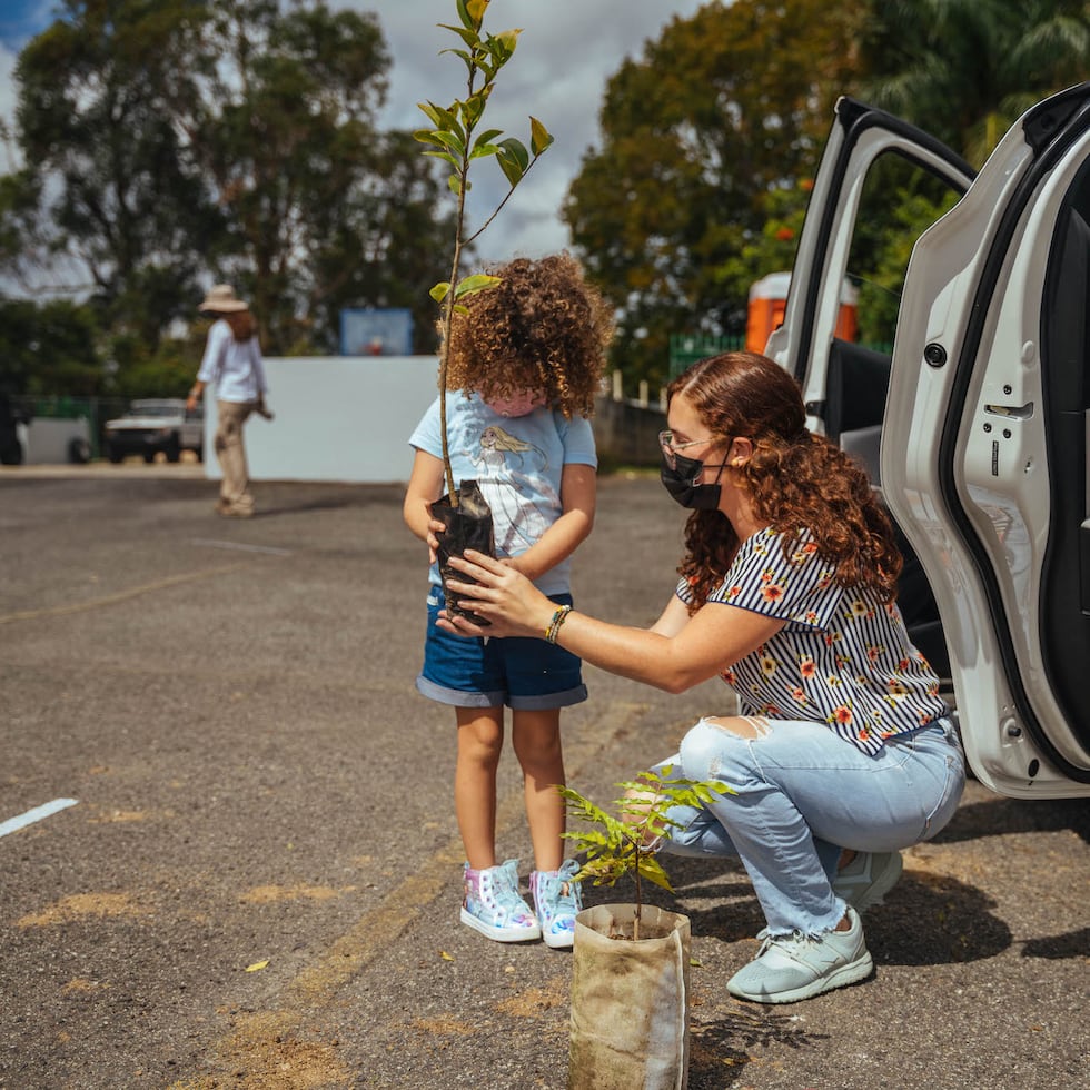 La repartición de árboles será vía servicarro simultáneamente en seis localidades.