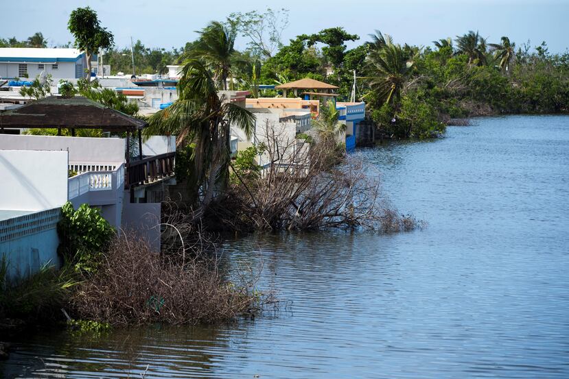 En el canal y el lago de Levittown, en Toa Baja, es evidente cómo el desparrame urbano “ha reducido la huella” del humedal, según la EPA.