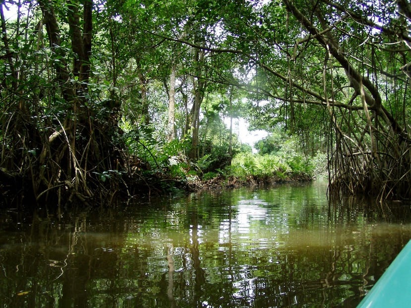 El Caño Boquilla es un sistema de pantano por el cual discurre un canal de aguas abiertas. (Suministrada)