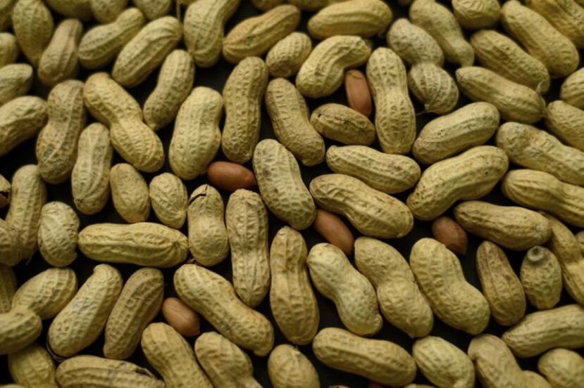 El parche Viaskin Peanut no ha sido aprobado por la Administración de Alimentos y Medicamentos de Estados Unidos. (AP)