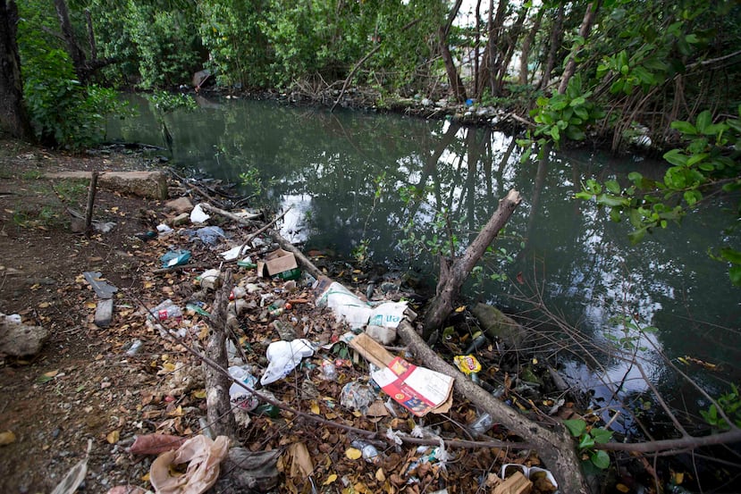 En los cuerpos de agua de Puerto Rico se pueden encontrar diversos tipos de productos farmacéuticos, hormonas y otros contaminantes en concentraciones de menos de una parte por billón. (GFR Media)