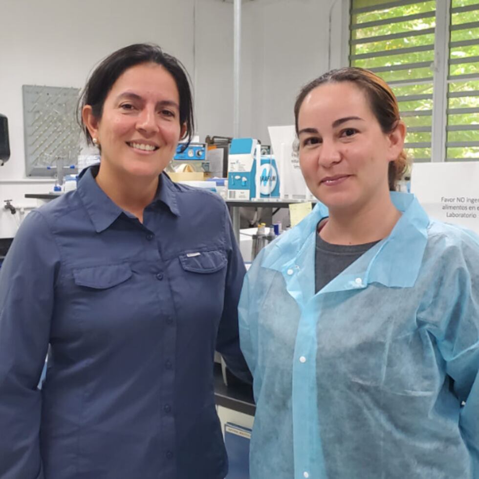 Martha Giraldo Zapata y Yazmin Rivera González, del Laboratorio de Fitopatología y Cultivo de Tejidos de la UPR