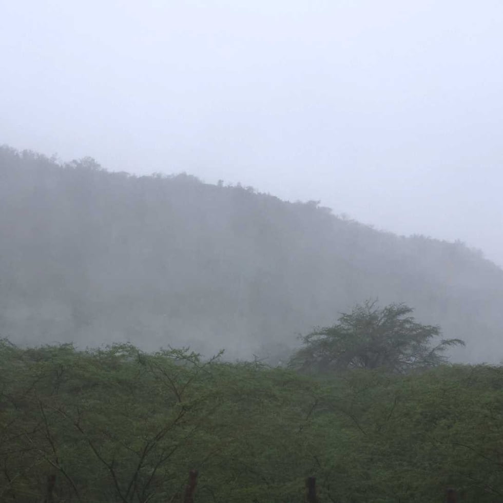 El alcalde Wilfredo Ruiz indicó que limpiaron el cauce del río por dos días, pero el municipio ha recibido lluvias constantes en las últimas semanas, situación que se unió a la intensa precipitación producida por el huracán Fiona.