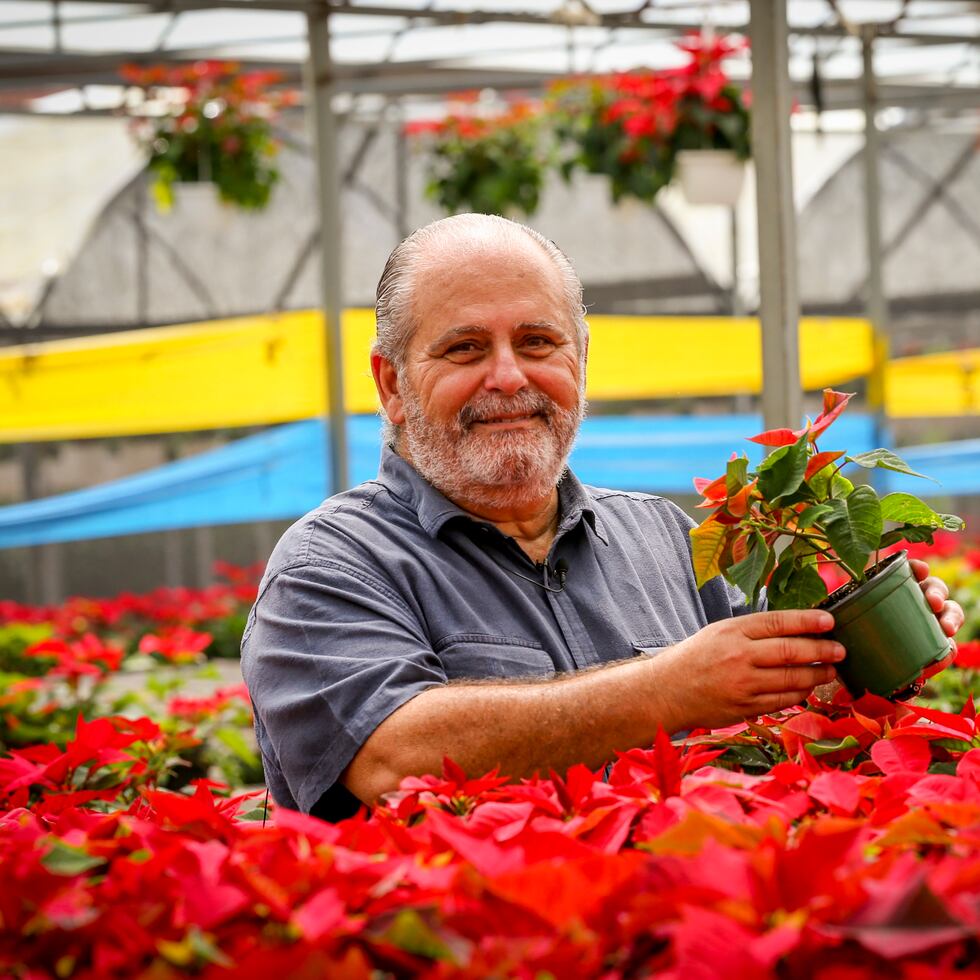 René Llerandi, presidente de Trópico Wholesale en Barranquitas.  (david.villafane@gfrmedia.com)