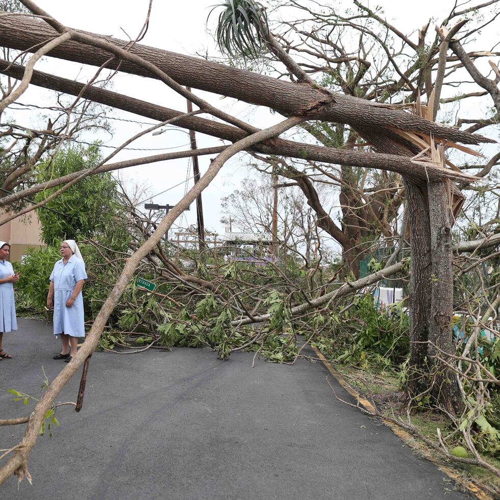 Puerto Rico en un solo corazón