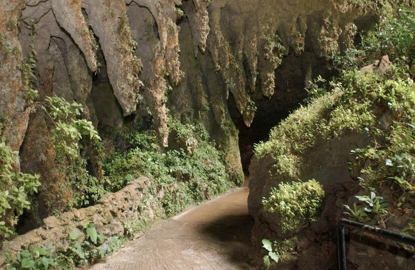 Elvis Cuba Quiles indicó que el Río Camuy tiene el tercer sistema de cuevas más grande del mundo en donde, al momento, se han descubierto 18 entradas.
