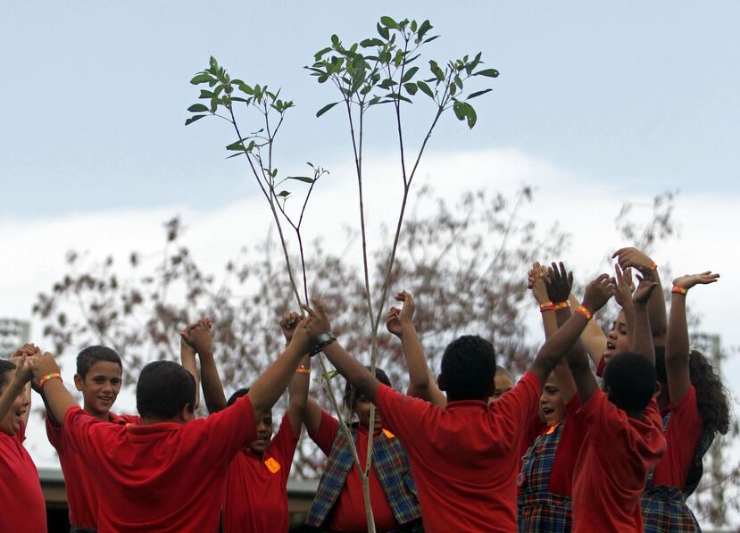 La misión del RCE Puerto Rico es construir una plataforma de colaboración inclusiva para la educación, que fortalezca la salud y el bienestar de las comunidades y los ecosistemas que sostienen la vida.