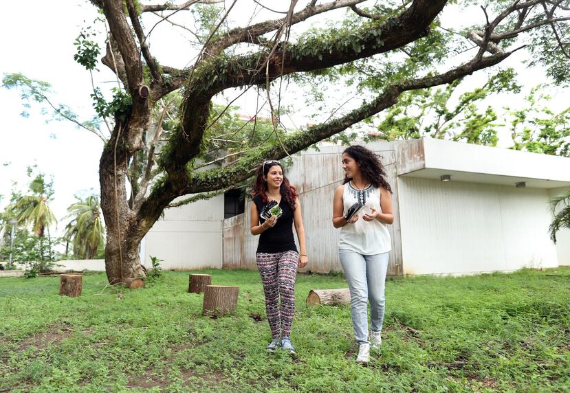 Amira Odeh, a la izquierda, y Dariana Mattei han repartido semillas y árboles frutales a familias de Bayamón, y planifican llevar su iniciativa de reforestación a Ponce y Humacao, así como ayudar agricultores en la reconstrucción.