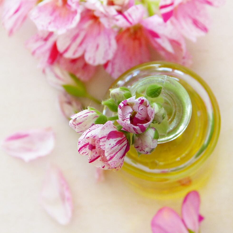 El aceite de geranio de rosa resultaría una opción para tratar un molestoso efecto secundario del tratamiento del cáncer. (silviarita / Pixabay)