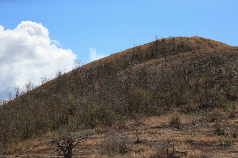 Vista de un terreno con condiciones secas al sur de Puerto Rico.