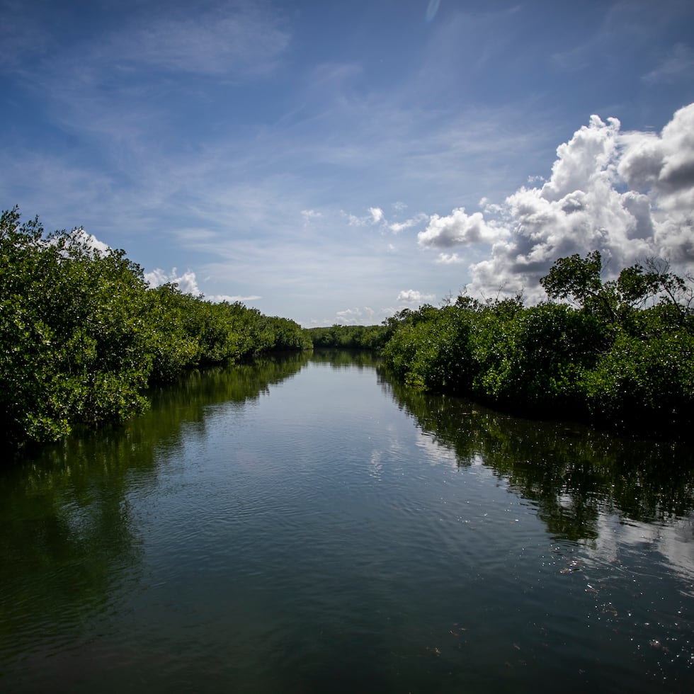 Ceiba, PR, Somos Puerto Rico. 

Recorrido por la Reserva Natural de Medio Mundo y Daguao por parte de la organizacion ambiental Para La Naturaleza la cual es la encargada de la proteccion y convervacion de varias parcelas en la Base Roosevelt Roads en Ceiba. 

En la foto:  

Xavier Garcia / Fotoperiodista