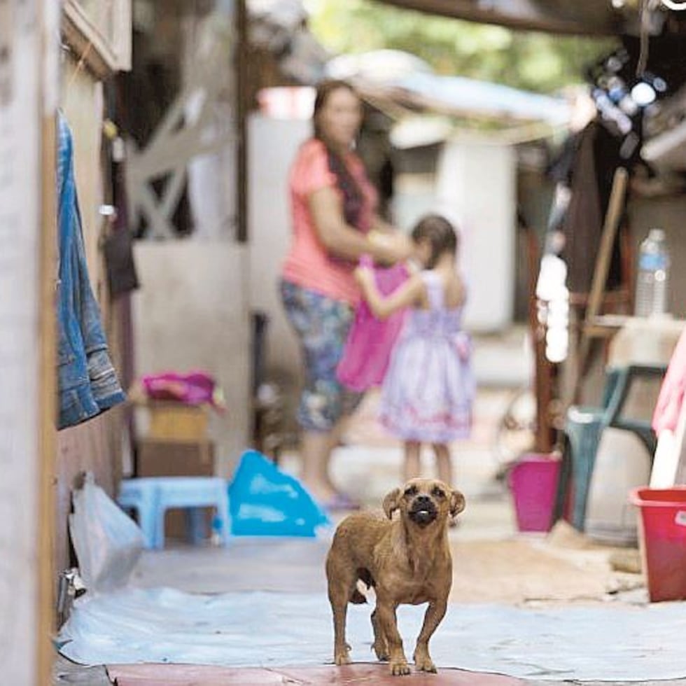 El 8 de marzo y las inequidades de las mujeres en Puerto Rico