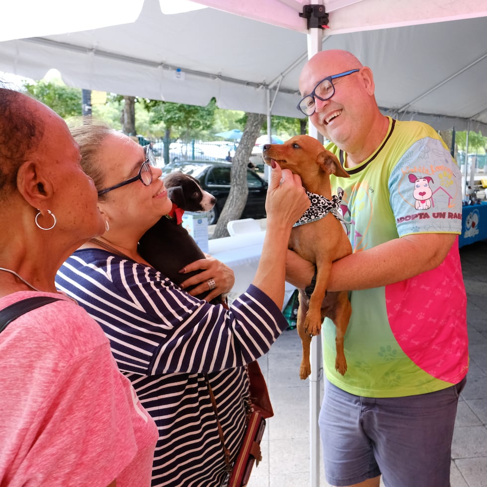 Liliam Maysonet, camisa con rayas, acaricia a un perrito que sostiene Heriberto Montijo, mientras les observa Sharon Deliz, ambos de la organización Rabito Kontento.