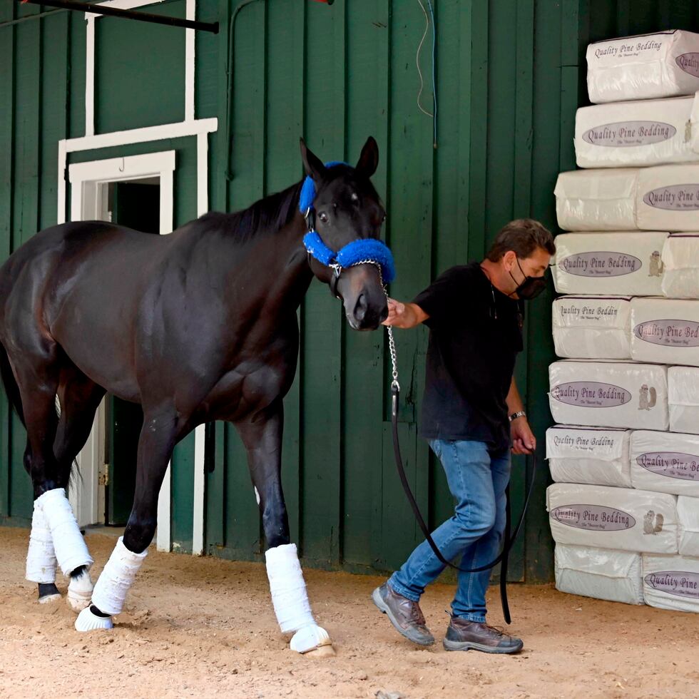 Medina Spirit con su entrenador asistente Jimmy Barnes en Pimlico.