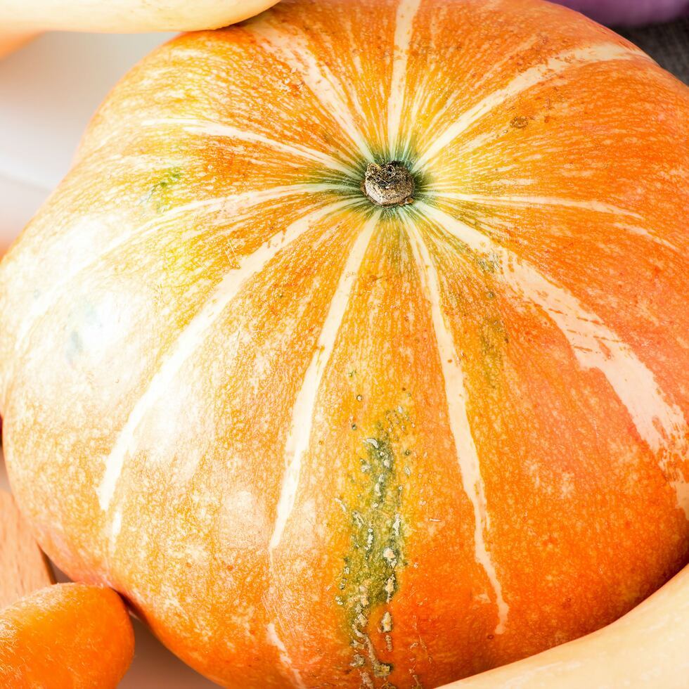 La calabaza es la principal fuente de vitamina A, esencial para el crecimiento y desarrollo normal, así como el funcionamiento de sistema inmunitario y la visión. (Foto Shutterstock)