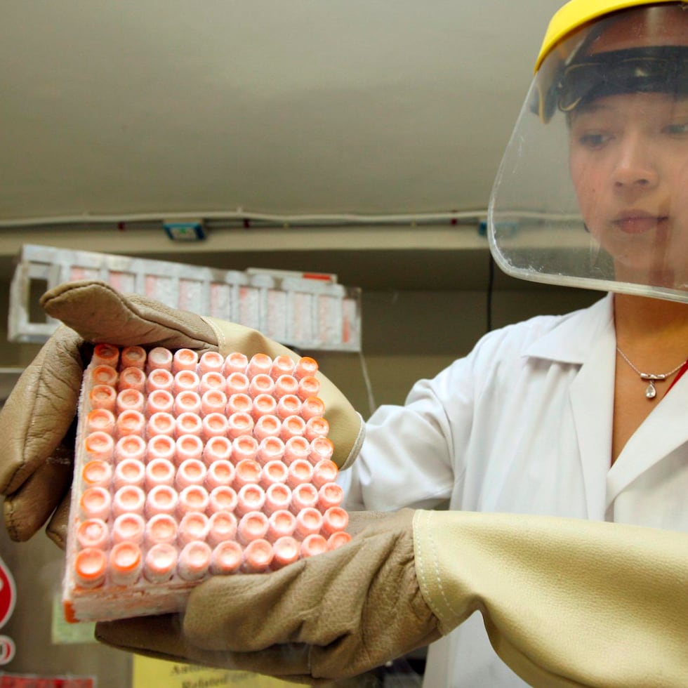 Foto de archivo, tomada el 5 de febrero de 2009, que muestra a una investigadora trabajando con células madre del cordón umbilical. EFE/Rungroj Yongrit/Archivo