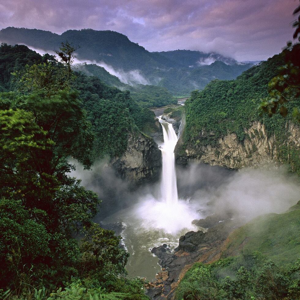 Piden dar mayor importancia a la conservación del Amazonas.