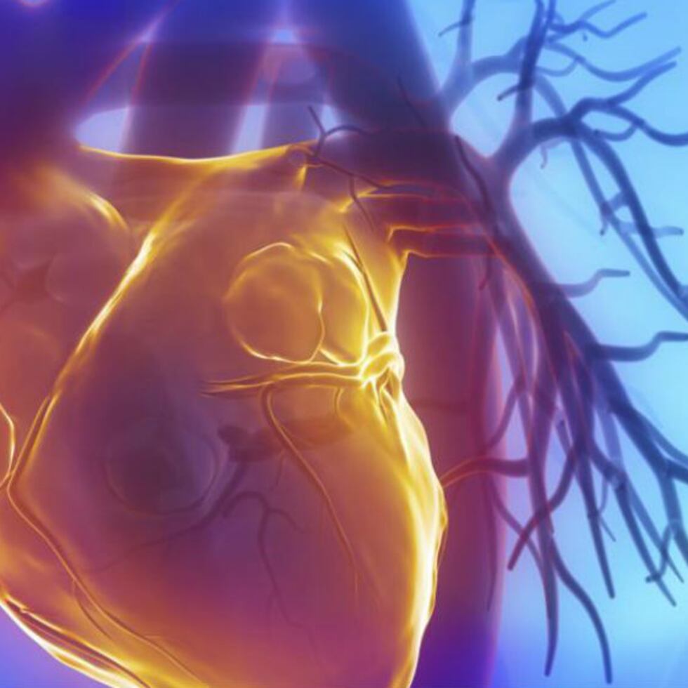 El procedimiento podría ser una herramienta terapéutica para eliminar el dióxido de carbono de estas células cardiacas isquémicas a través de la fotosíntesis y proporcionarles el oxígeno y la glucosa necesarios. (Thinkstock)