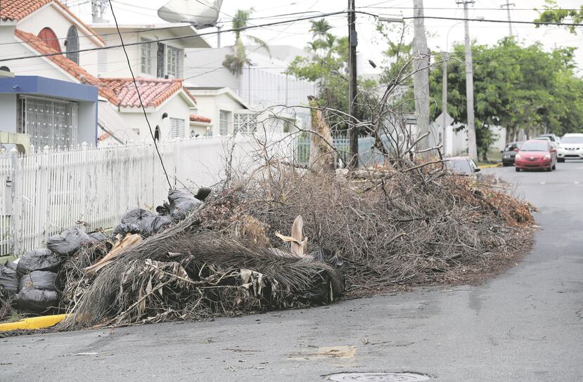 La JCA favorece el uso del material vegetativo como composta, mulch o cubierta diaria en vertederos. (GFR Media/Archivo)