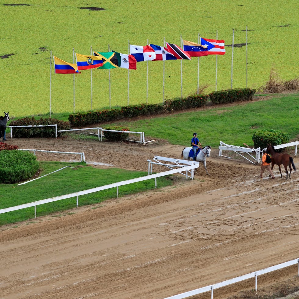 La jornada de hoy presenta las Copas Velocidad, Dama del Caribe y Confraternidad en el primer día de la Serie Hípica del Caribe en el Hipódromo Camarero.