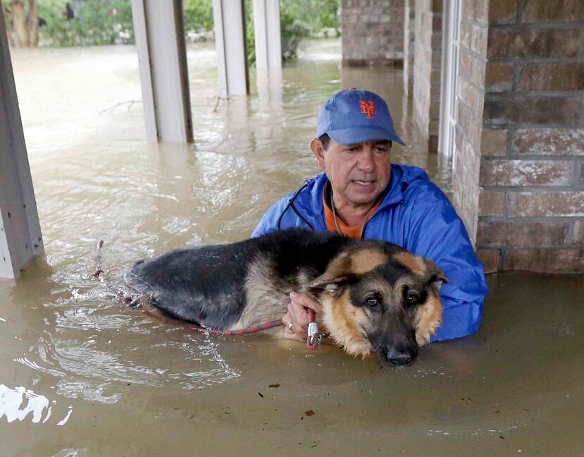 Joe García carga a su perra Heidi al ser rescatado de su residencia inundada en Spring, Texas. (AP)