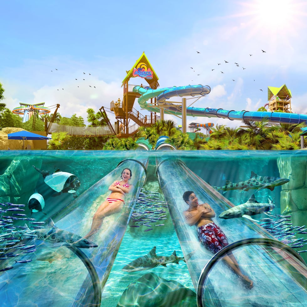 La chorrera transparente “Reef Plunge” es la nueva atracción en el parque Aquatica, en Orlando, Florida.