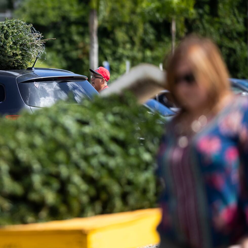 El Departamento de Agricultura inspeccionó 20 furgones la pasada semana y hasta ahora no han encontrado plagas en ninguno de los cargamentos.