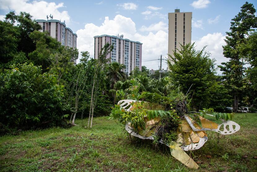 La Red también tiene como fin mejorar la calidad del agua del sistema que comprende el estuario de la bahía de San Juan. Arriba, el bosque urbano Doña Inés.