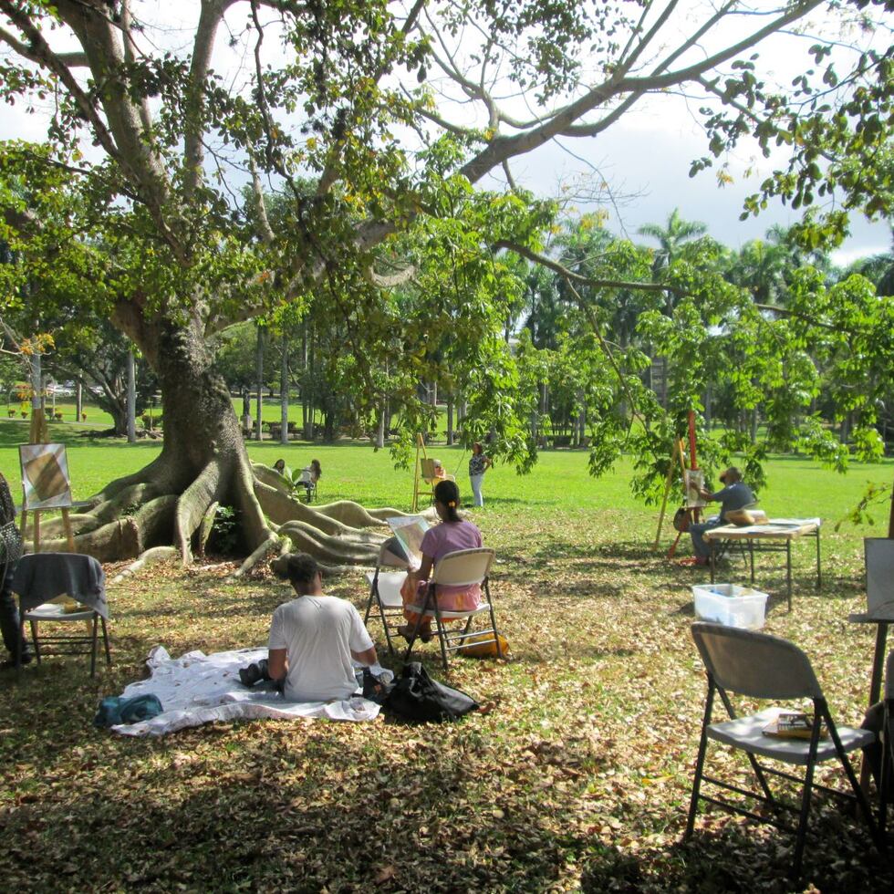 Durante el mes de agosto, el Museo de Historia, Antropología y Arte de la Universidad de Puerto Rico en Río Piedras continúa con su serie de talleres gratis para toda la comunidad.